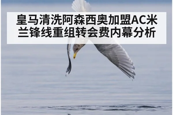 皇马清洗阿森西奥加盟AC米兰锋线重组转会费内幕分析