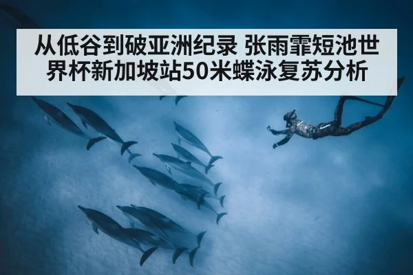 从低谷到破亚洲纪录 张雨霏短池世界杯新加坡站50米蝶泳复苏分析